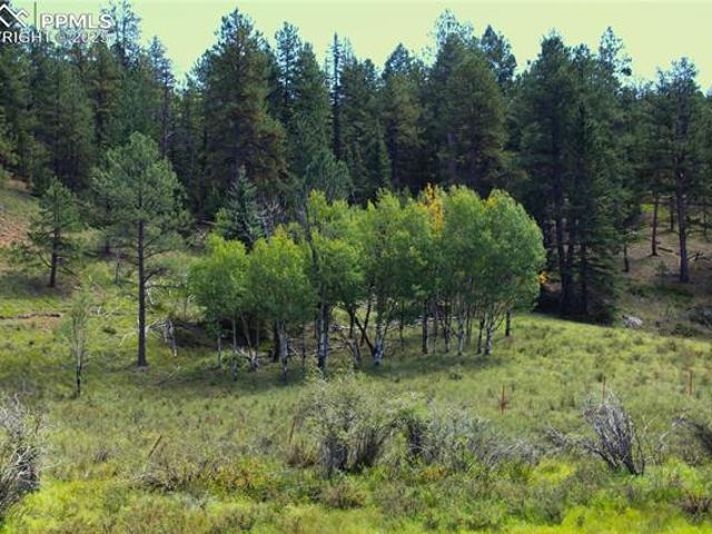 Land for sale in Teller, Colorado