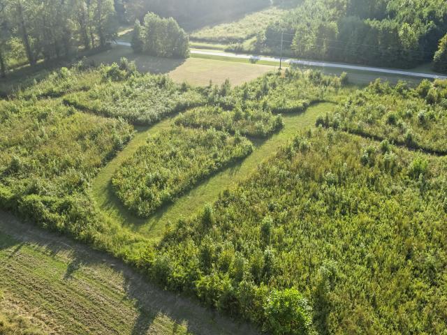 House for sale in Grifton, Pitt County