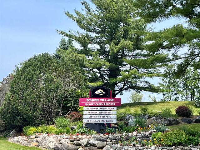 Condo for sale in Michigan