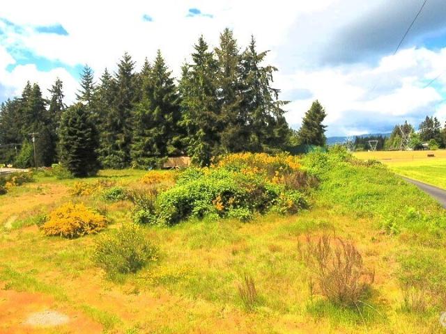 Land for sale in Thurston, Washington