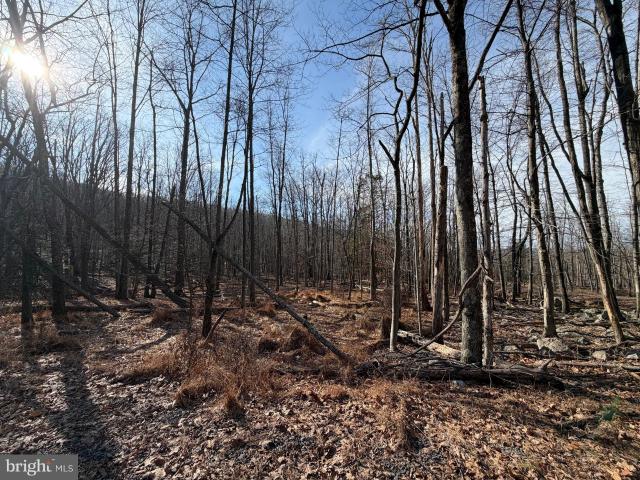 Land for sale in Zion Grove, Pennsylvania
