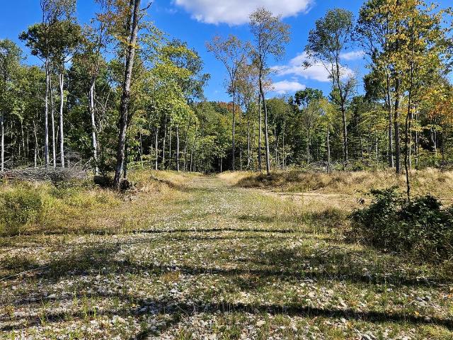 Property for sale in Cooksburg, Pennsylvania
