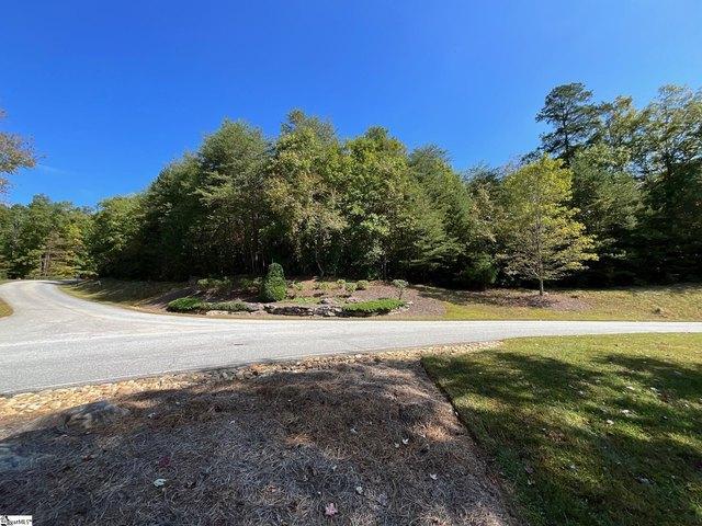 Land for sale in Marietta, South Carolina