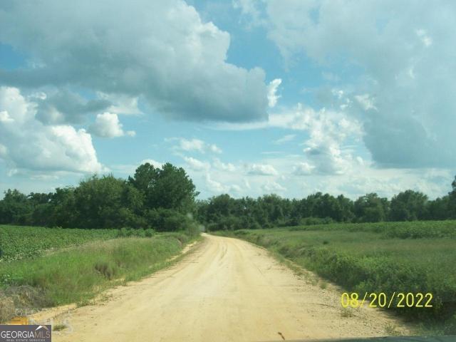 Land for sale in Vienna, Georgia