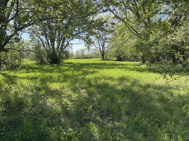 Land for sale in Marshall, Illinois