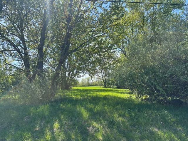 Land for sale in Marshall, Illinois
