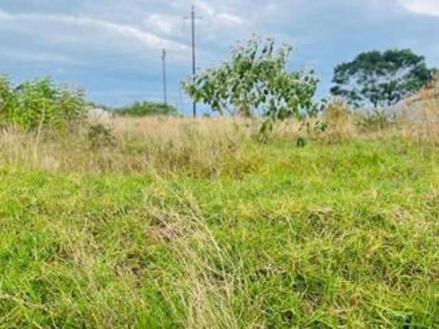 Land for sale in Amathole District Municipality, Eastern Cape