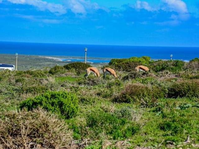Land for sale in Western Cape