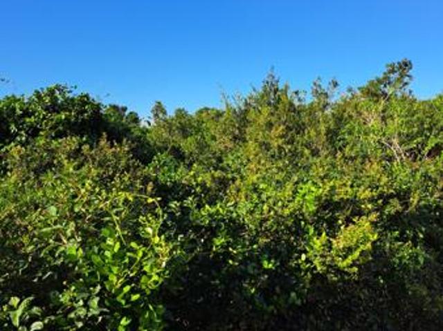 Land for sale in Bushmans River Mouth, Eastern Cape