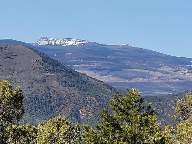 Land for sale in Coalmont, Colorado