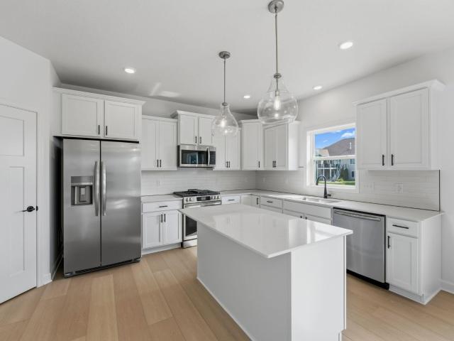 House for sale in Waconia, Carver County