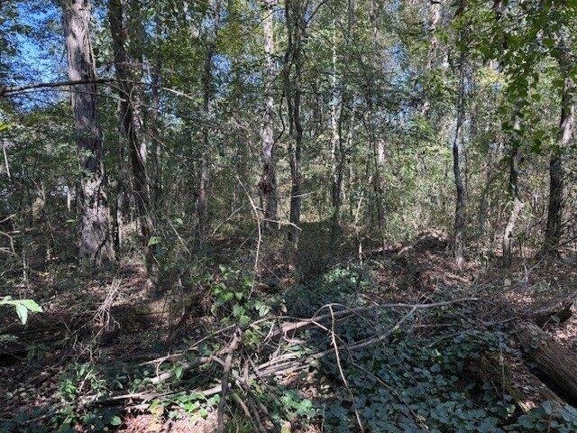 Land for sale in Etowah, Alabama