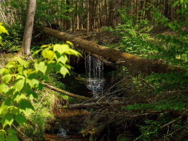 Land for sale in Neversink, New York
