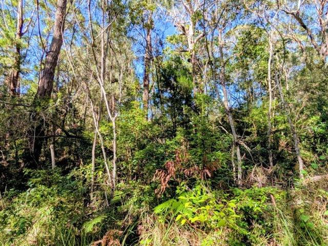 Land for sale in Toombul, Queensland