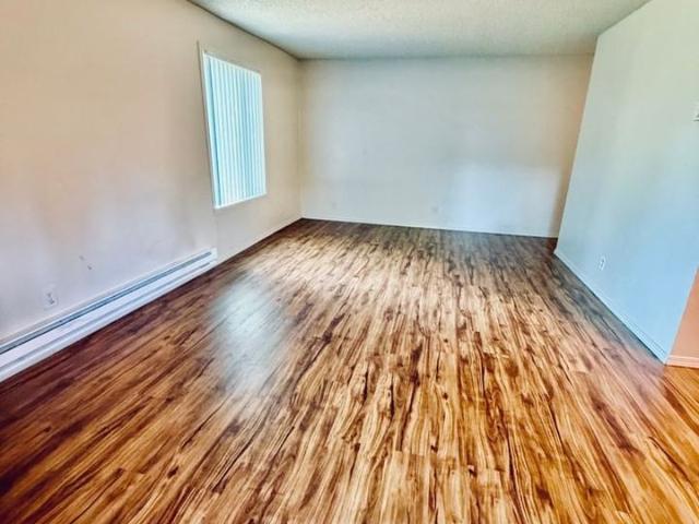 Apartment for rent in Seattle, Washington