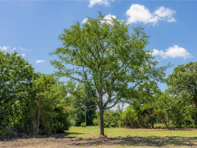 Land for sale in Grimes, Texas