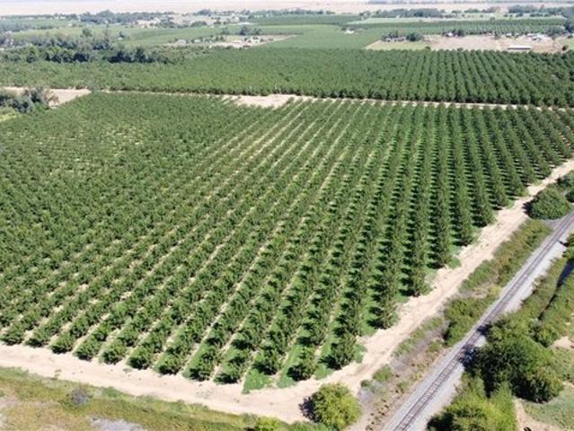 Land for sale in Glenn, California