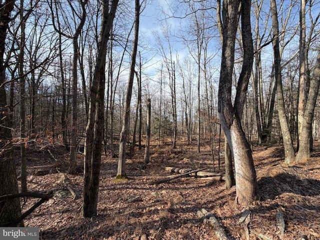 Land for sale in Zion Grove, Pennsylvania