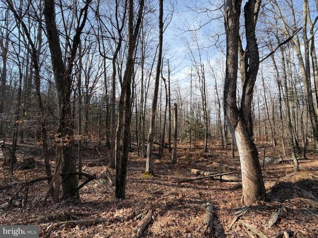 Land for sale in Zion Grove, Pennsylvania