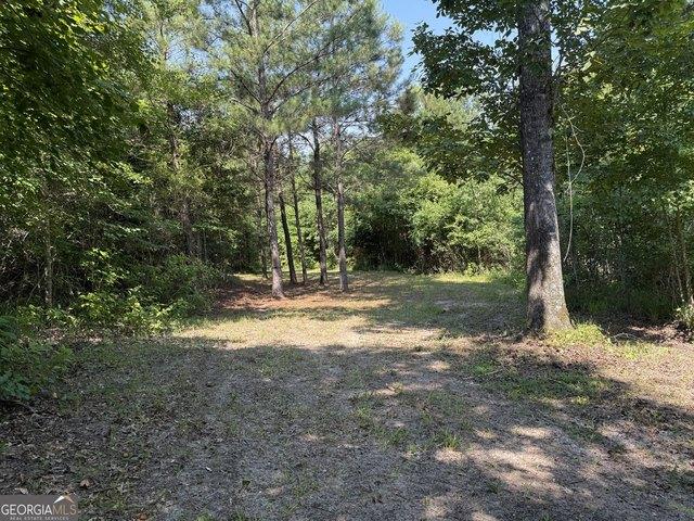 Land for sale in Wilkinson, Georgia