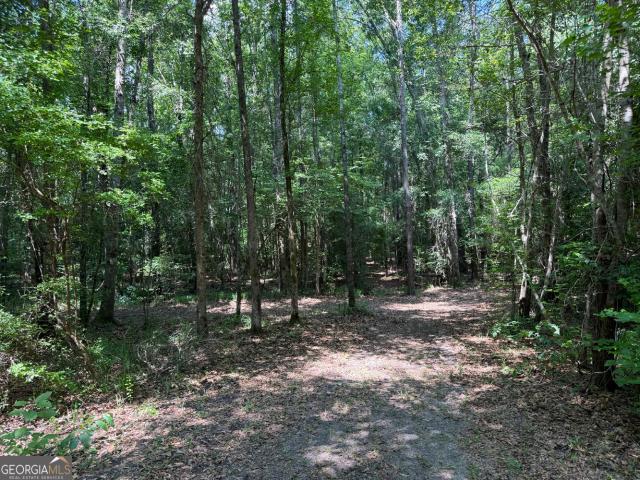 Land for sale in Wilkinson, Georgia