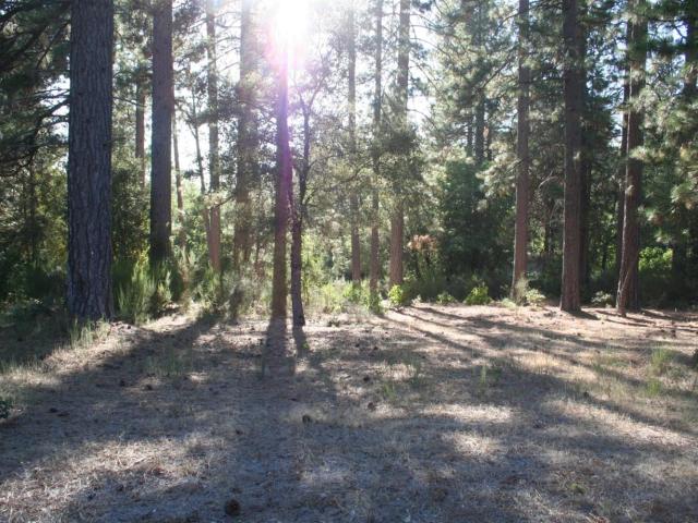 Land for sale in Nevada City, California
