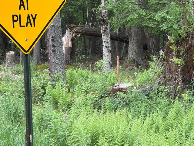 Land for sale in Mongaup Valley, Town of Bethel