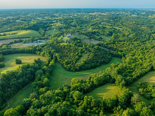 Land for sale in Salvisa