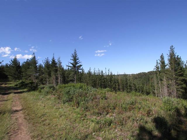 Farm for sale in Groot Brak Rivier, Western Cape