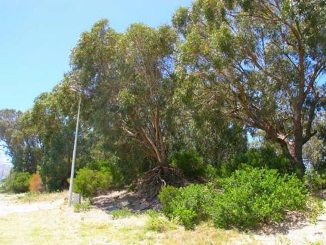 Land for sale in Eastern Cape