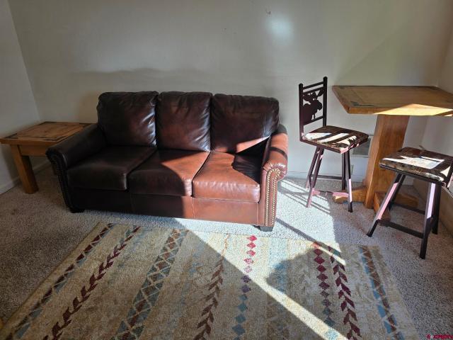 Condo for sale in Telluride, Colorado