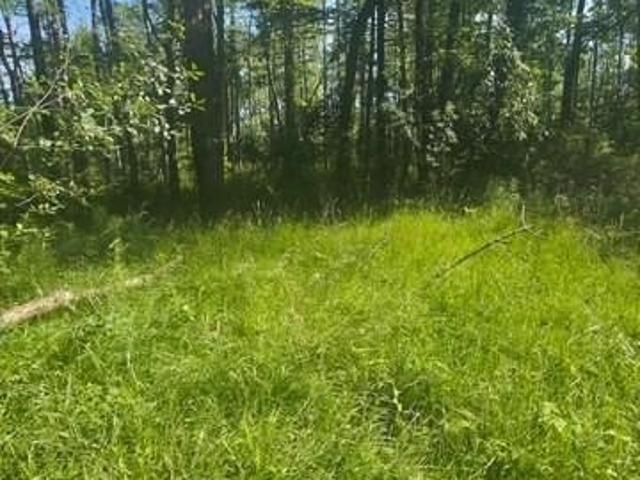 Land for sale in Painesville, Ohio