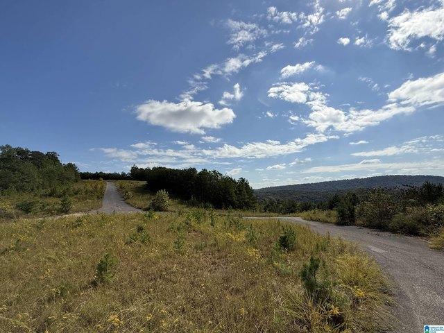 Land for sale in Pinson, Alabama
