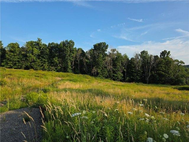 Land for sale in Mount Upton, New York