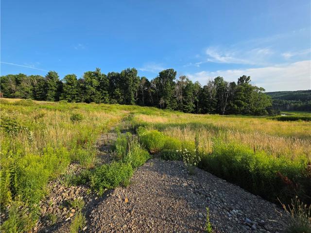 Land for sale in Mount Upton, New York