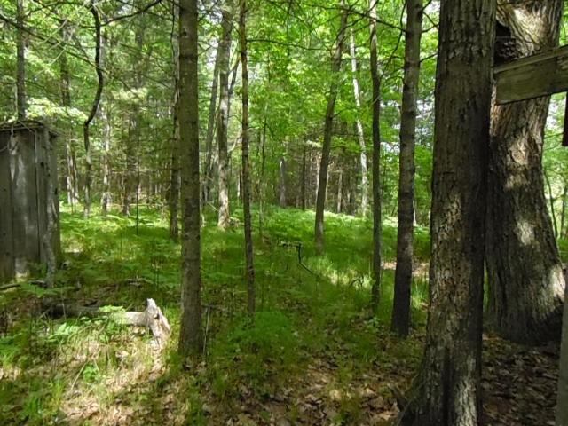 Land for sale in Oscoda