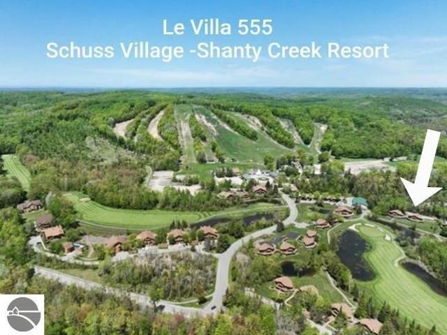 Condo for sale in Mancelona, Michigan