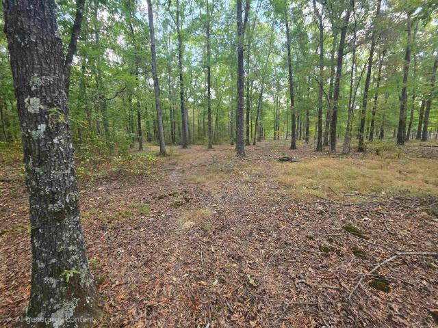 Land for sale in Ark
