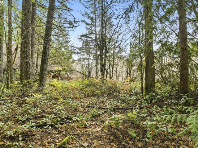 Land for sale in Oregonia