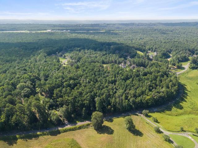 Land for sale in Alabama