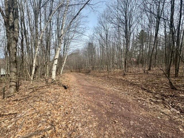 Land for sale in Davenport, New York