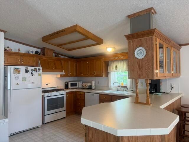 House for sale in Newaygo, Michigan