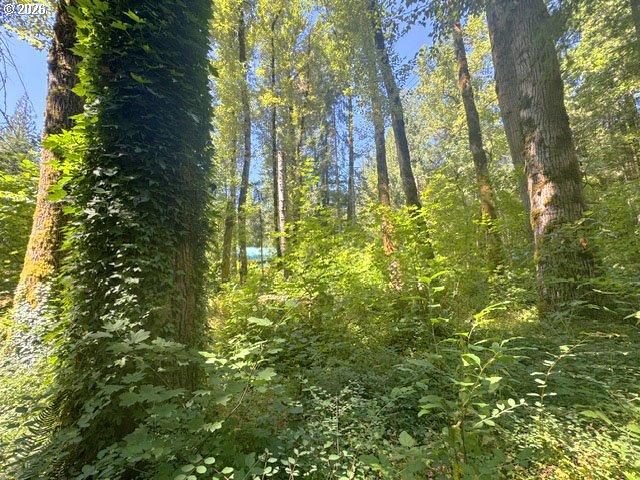 Land for sale in Oregonia