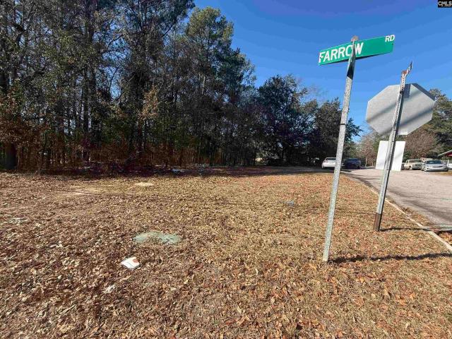 Land for sale in Columbia, South Carolina