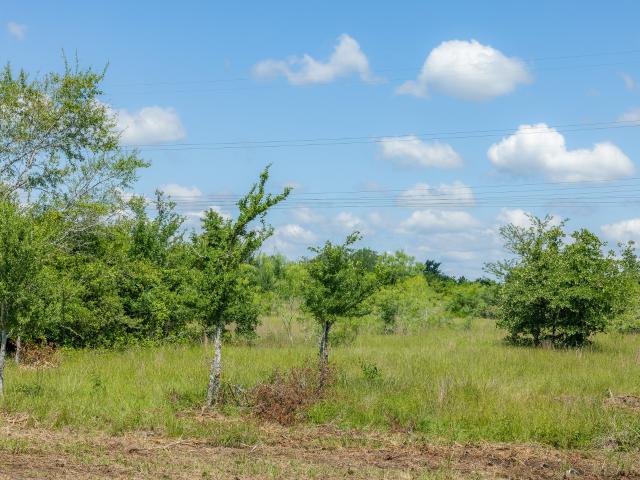 Land for sale in Grimes, Texas