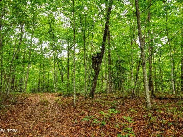 House for sale in Allardt, Middle Tennessee