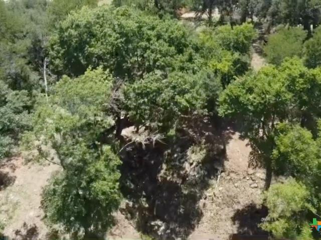Land for sale in Belton, Texas