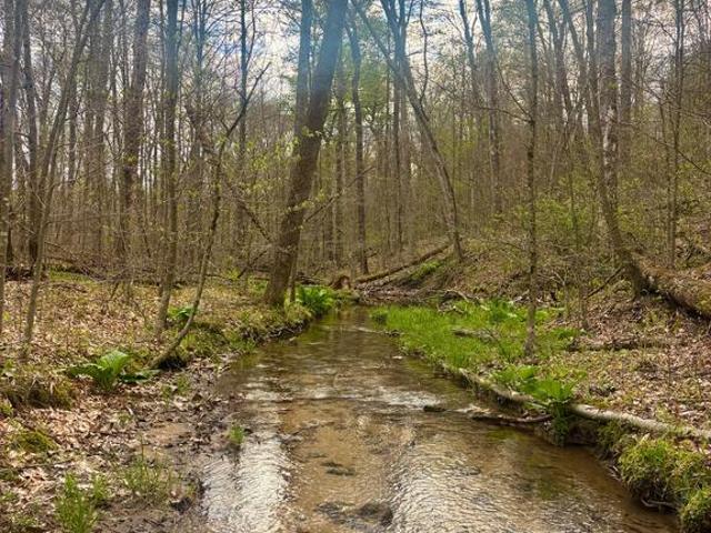 Land for sale in Cooksburg, Pennsylvania