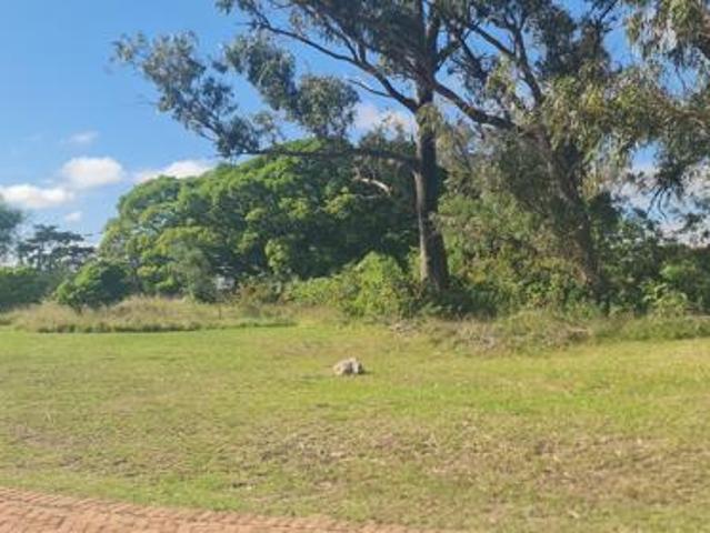 Land for sale in Eastern Cape