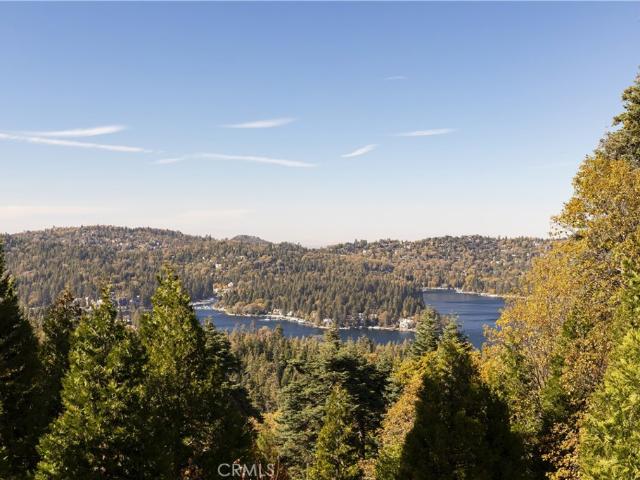House for sale in Cedar Glen, California